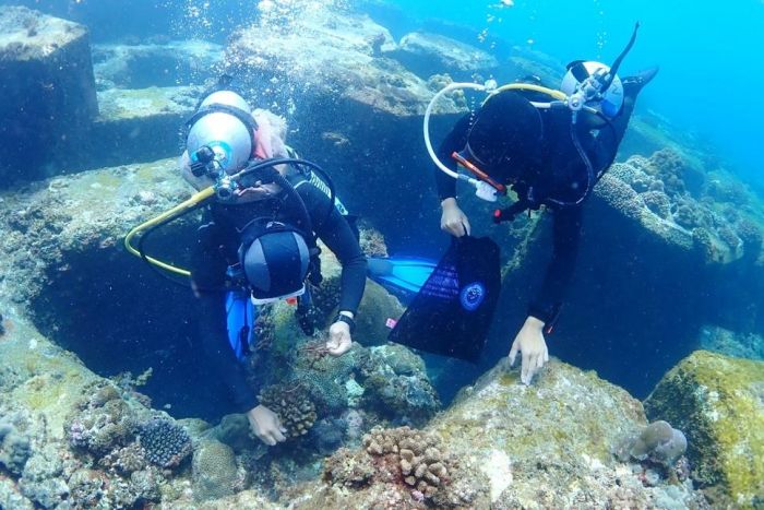 海洋保育署「潛海戰將攜手淨海大會」 即日起至5/25開放報名