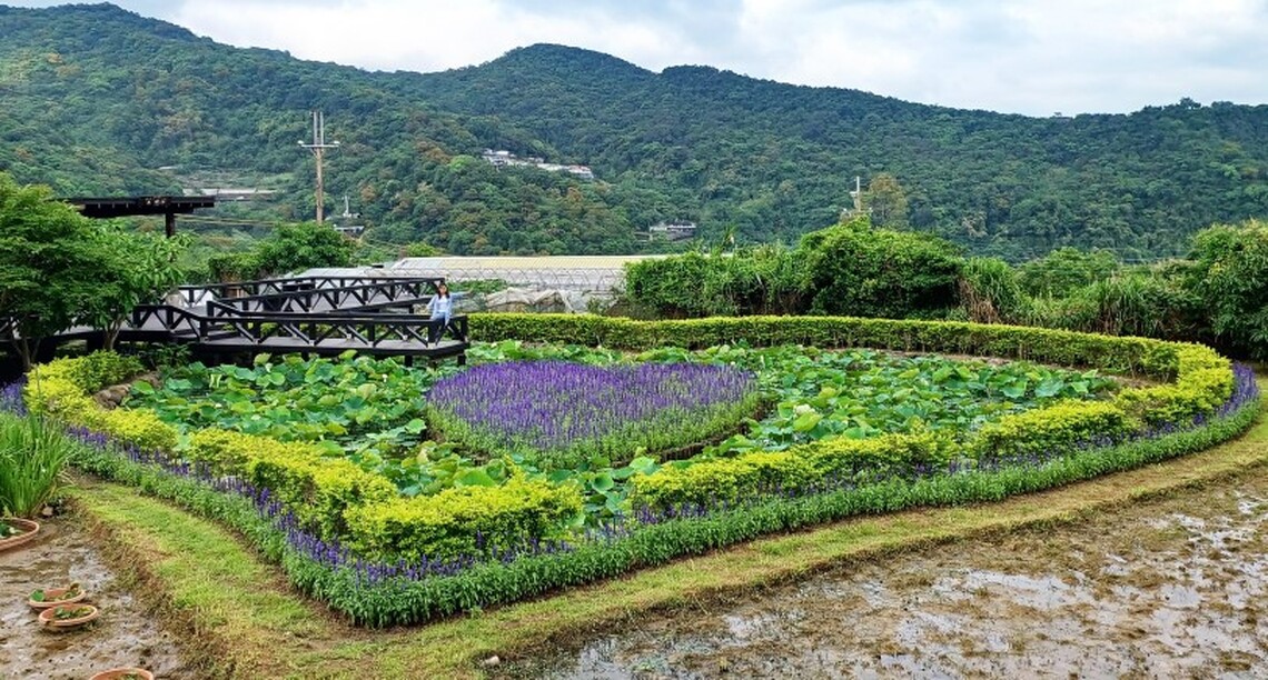 山林農村的秘密野餐景點~等你來解鎖!