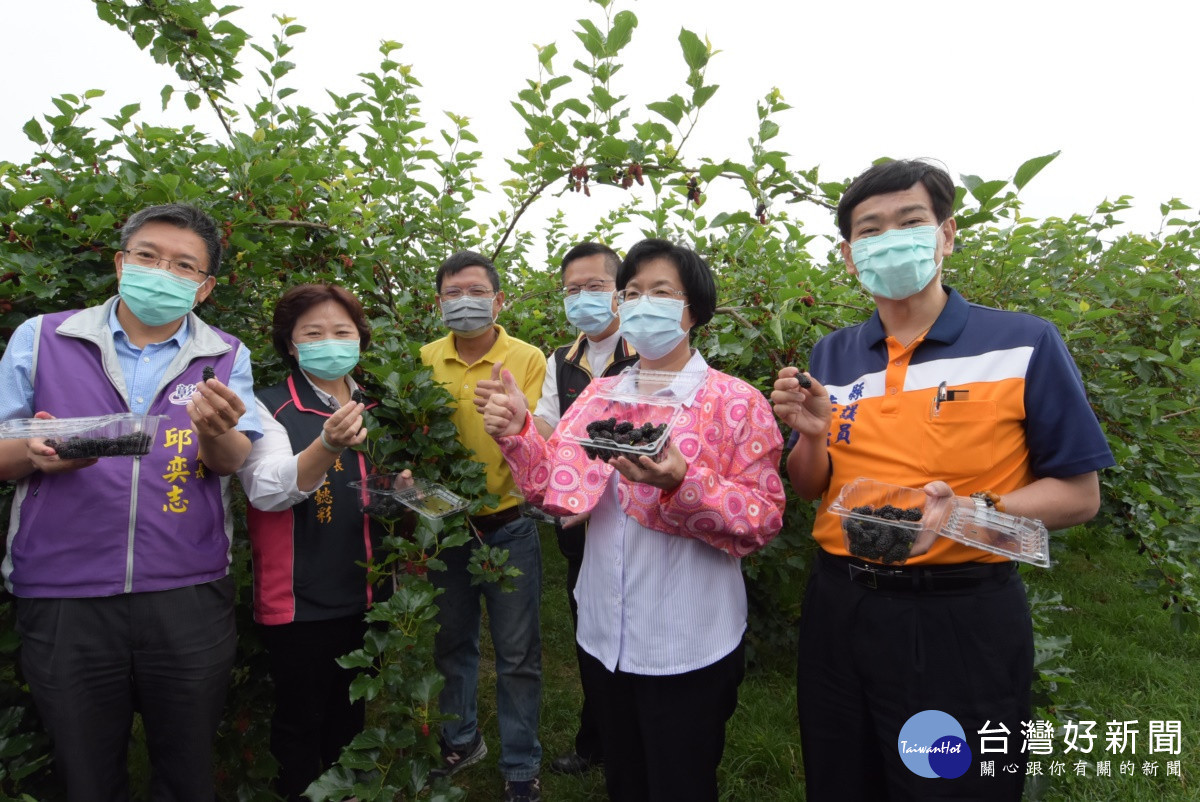 埤頭樂農休閒農場。圖/彰化縣政府提供