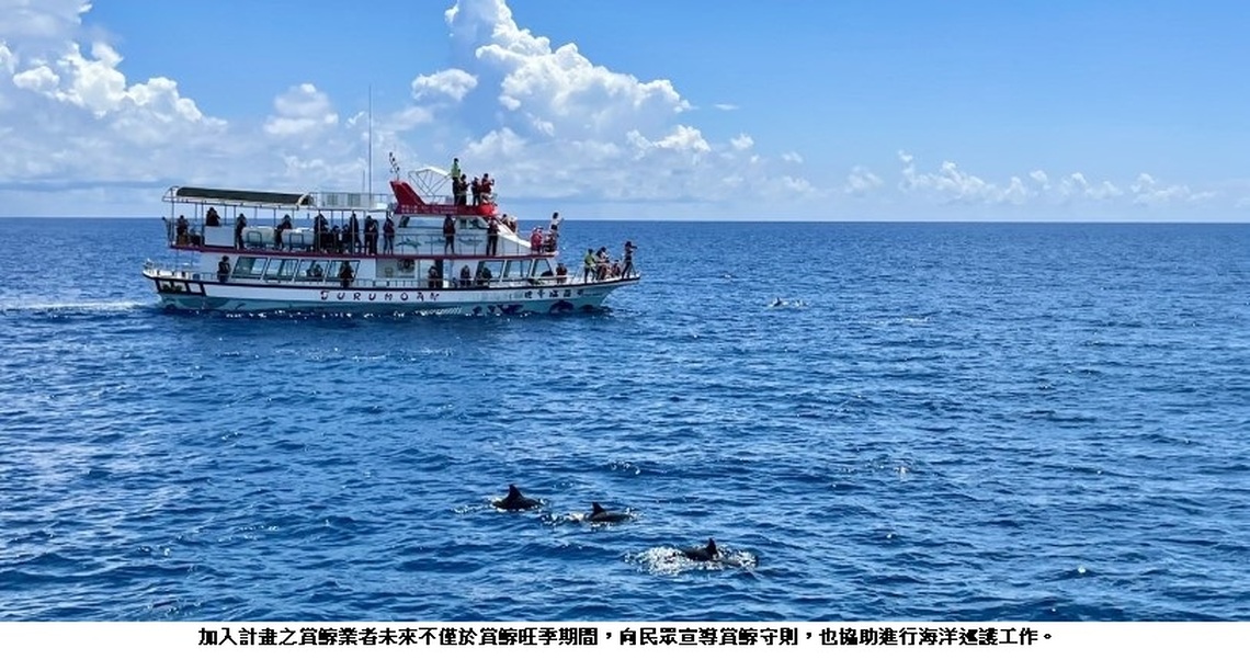 啟動友善賞鯨2.0 海保署邀賞鯨業者成立 鯨豚聯合巡護隊共同守護海洋