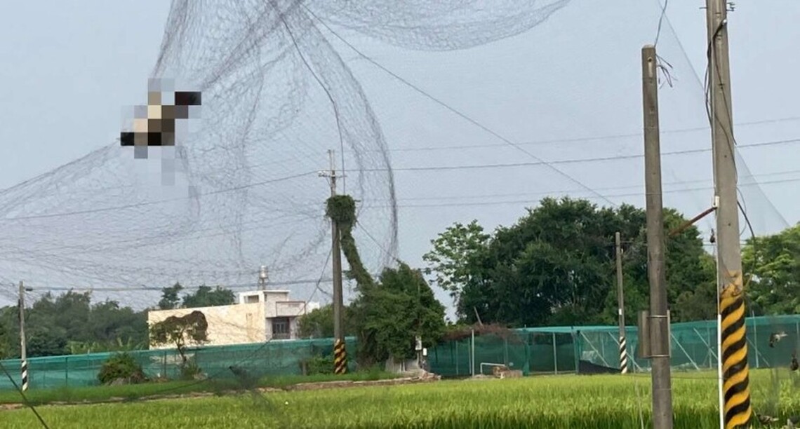 農業處呼籲勿私架鳥網 以免觸法