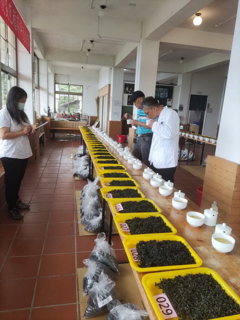 南港春季優良包種茶評鑑比賽評審評比