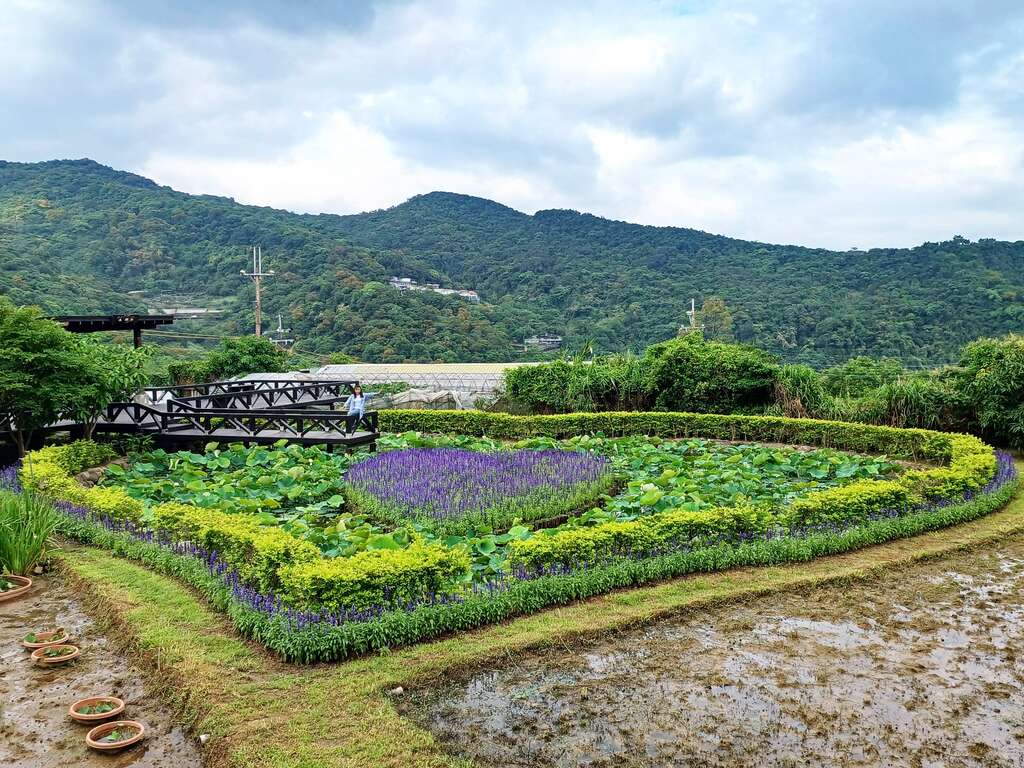白石湖社區-同心池(圖片來源：臺北市政府工務局大地工程處)