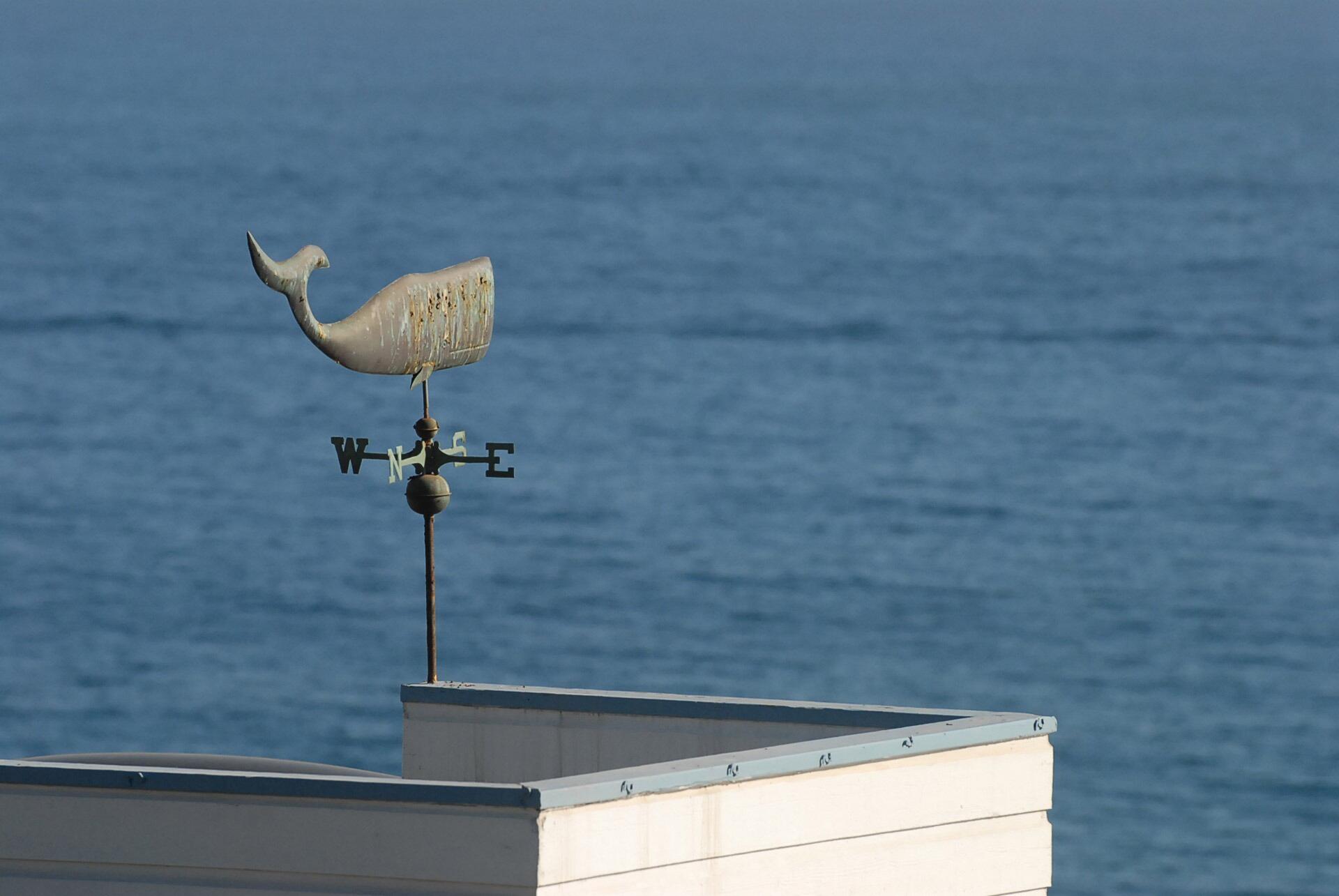 weathercock-71051