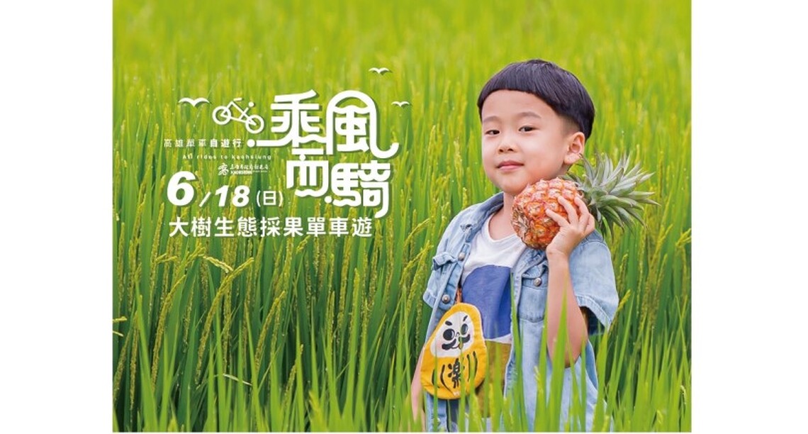接力高雄鳳荔季 觀光局推大樹採果生態單車遊