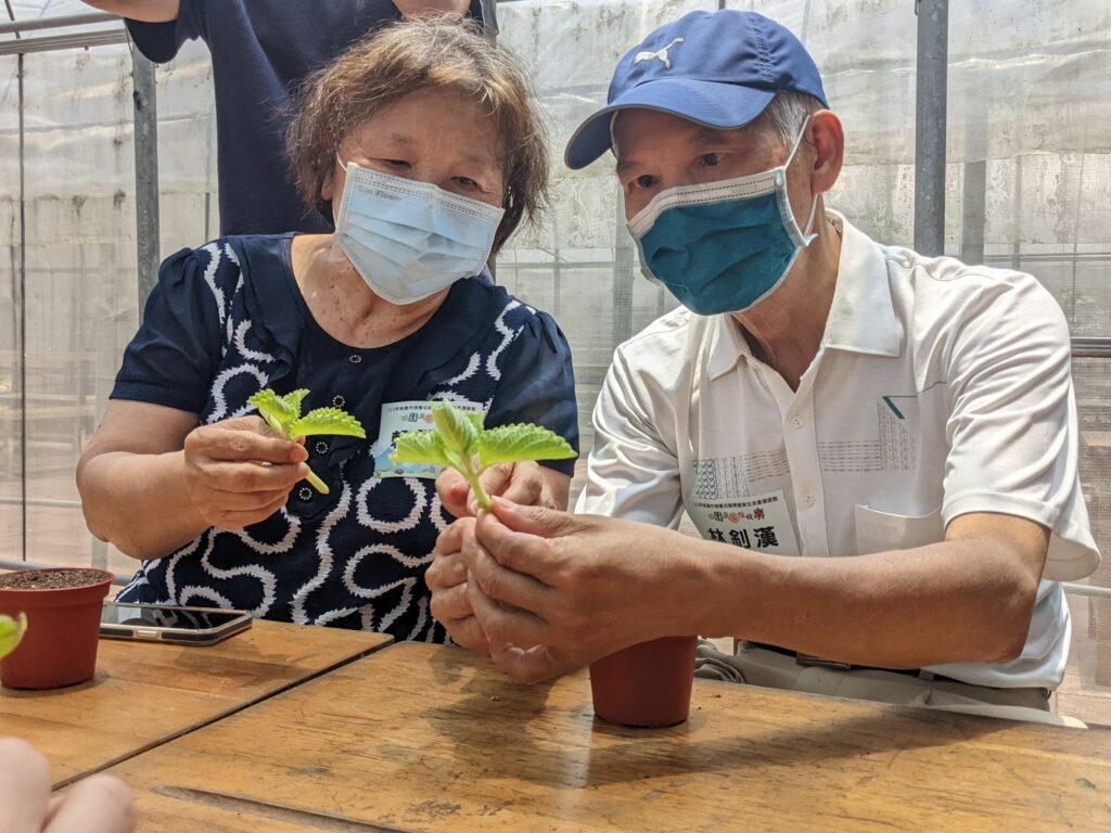 透過引導,林釗漢伯伯與太太開心的體驗種植香草植物、蔬菜摘採、手洗愛玉等活動。(伊甸提供)