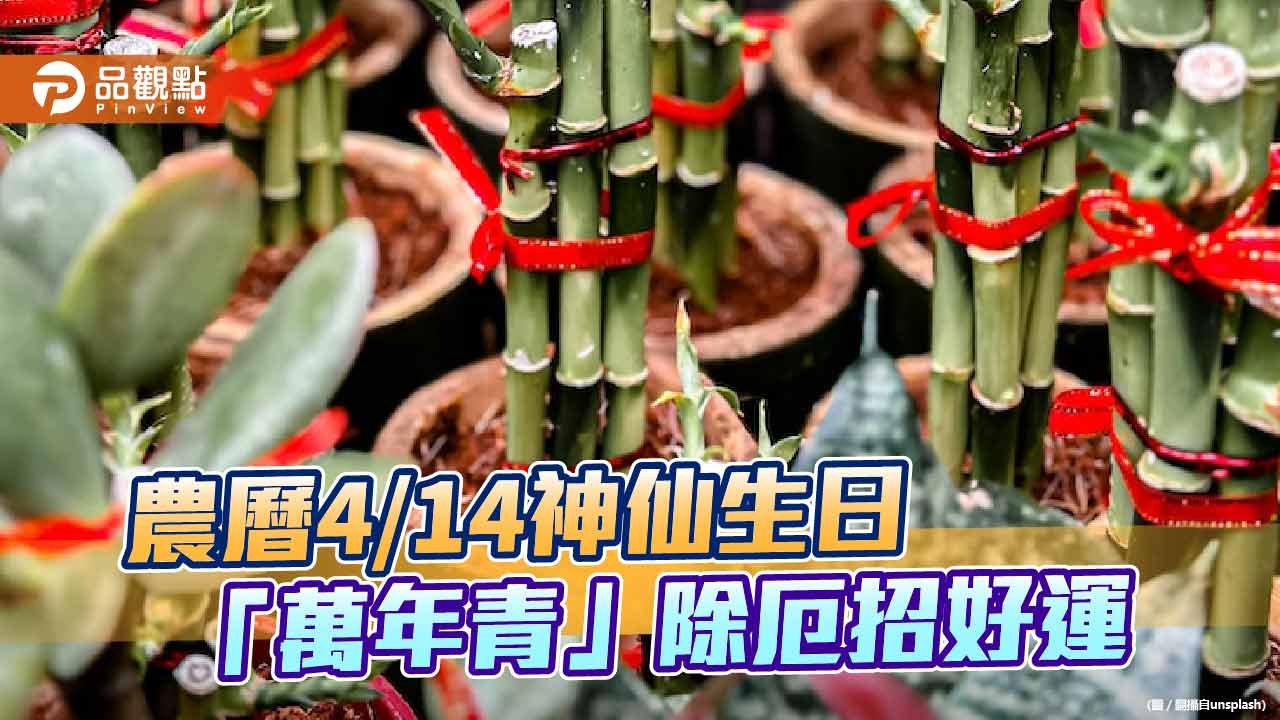 國曆6/1「神仙生日」,1招萬年青「交好運」,在家就能消厄祈福