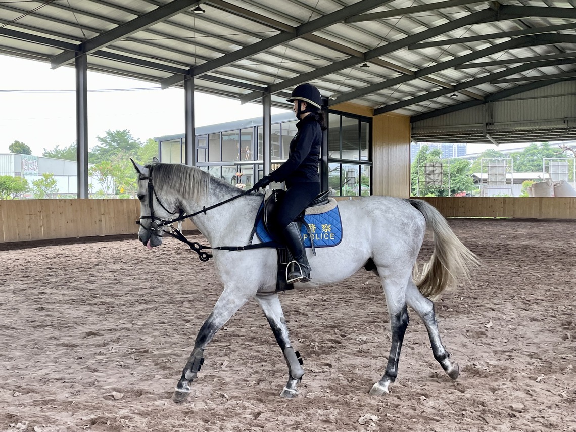參觀橋頭騎警隊訓練基地,看到騎警操練