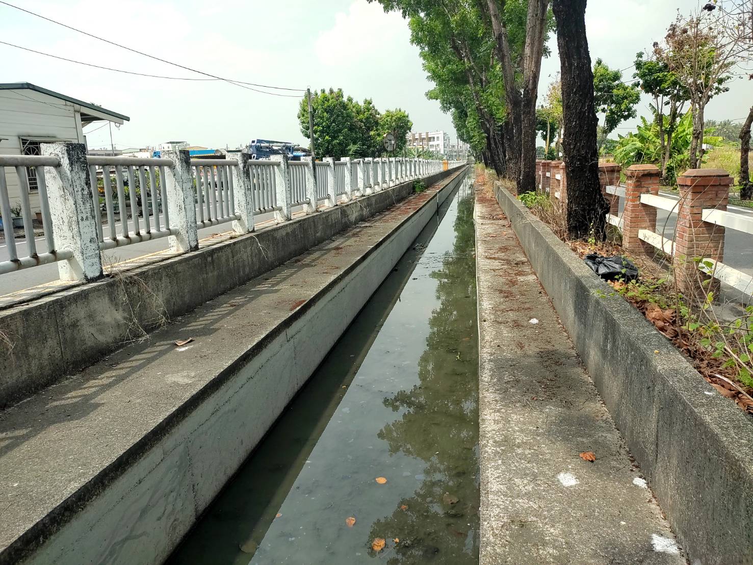 鳳山溪及大寮灌溉渠道死魚漂浮 研判為缺氧及高溫炎熱所致 鳳山溪及大寮灌溉渠道死魚漂浮 研判為缺氧及高溫炎熱所致