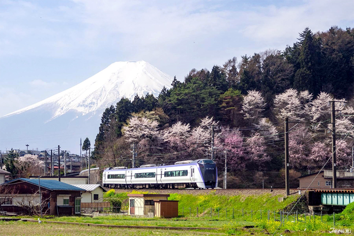 走!我們去山梨