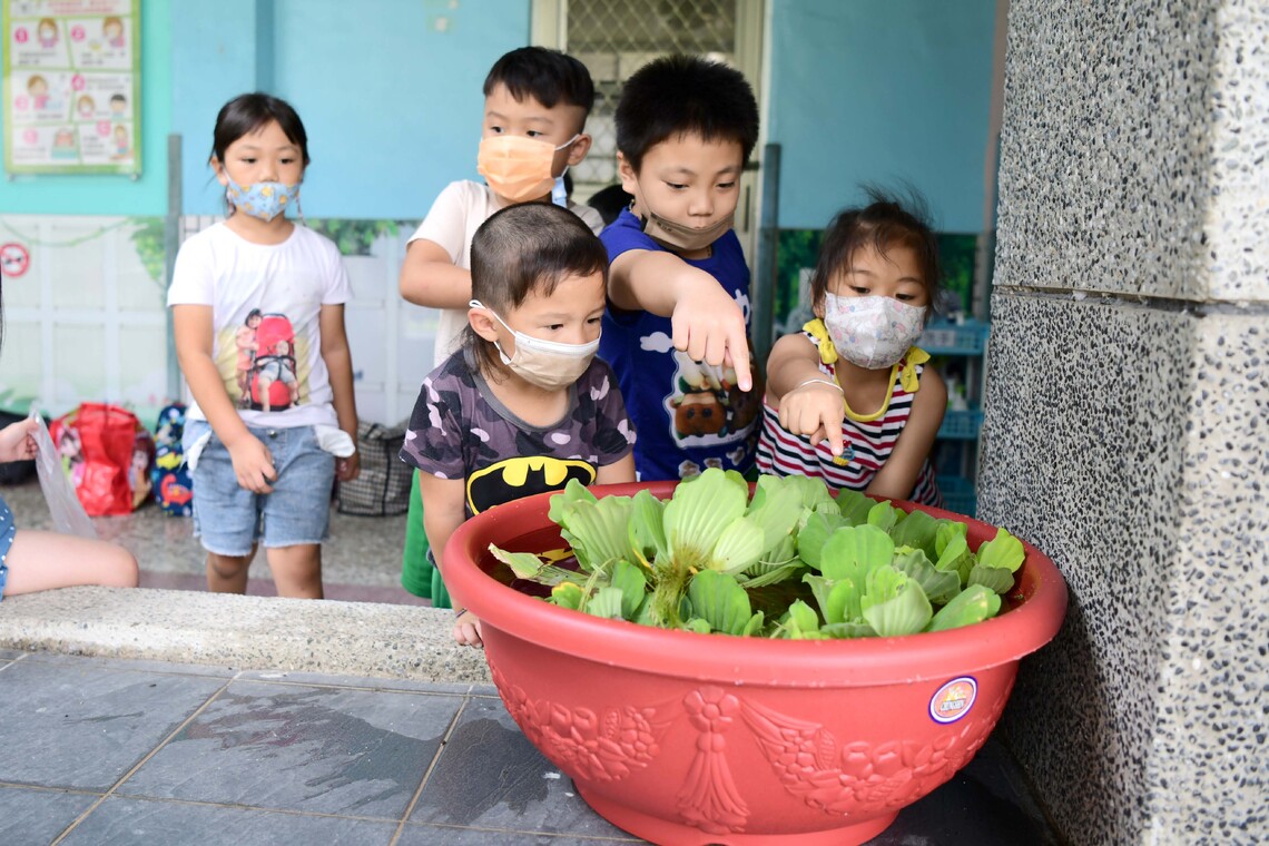 屏科大善盡大學社會責任捐贈泰安國小生態養殖盆