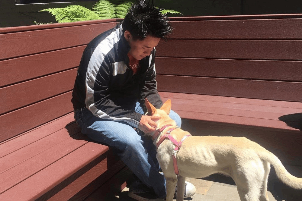 新北車禍毛寶貝跨海認養!美國訓犬師來台助訓練動物之家犬隻 188 新北車禍毛寶貝跨海認養!美國訓犬師來台助訓練動物之家犬隻 187