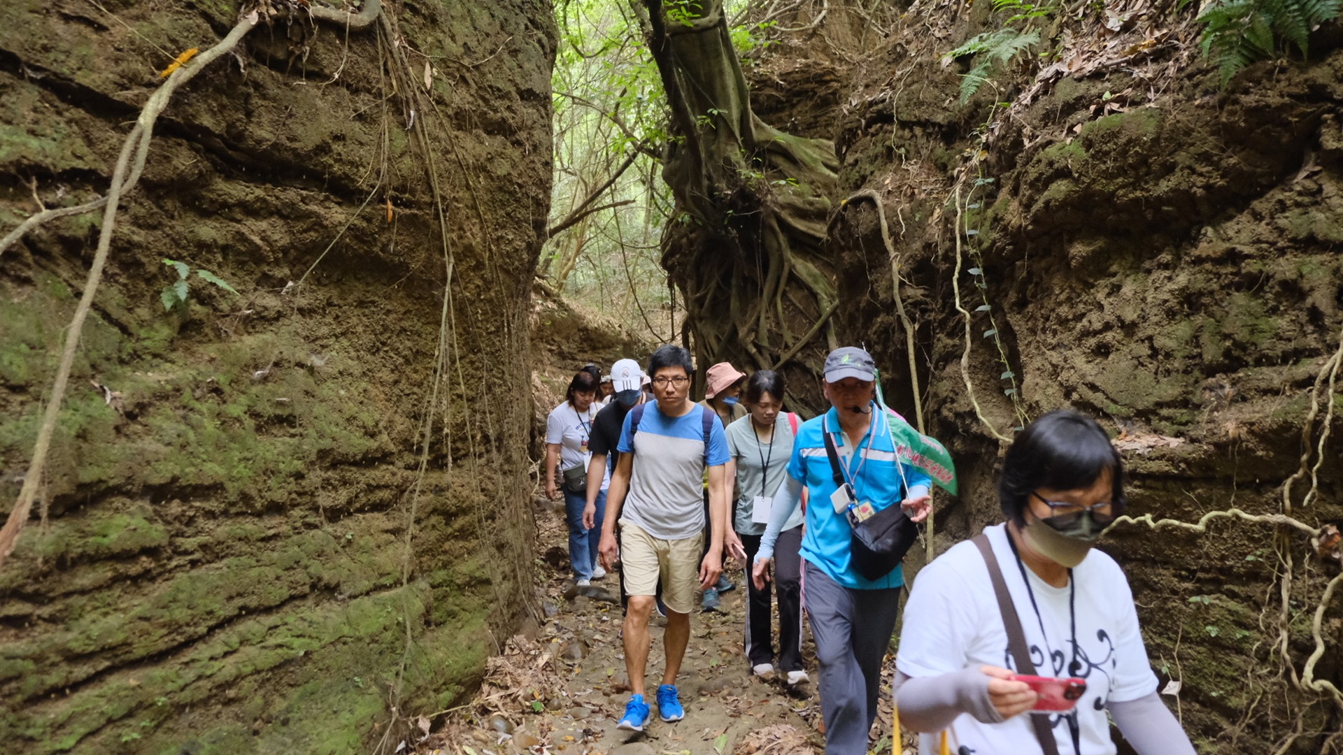 ▲桃源保安林小旅行首發團在社區志工帶領下走讀保安林秘境一線天。(記者林明佑翻攝)