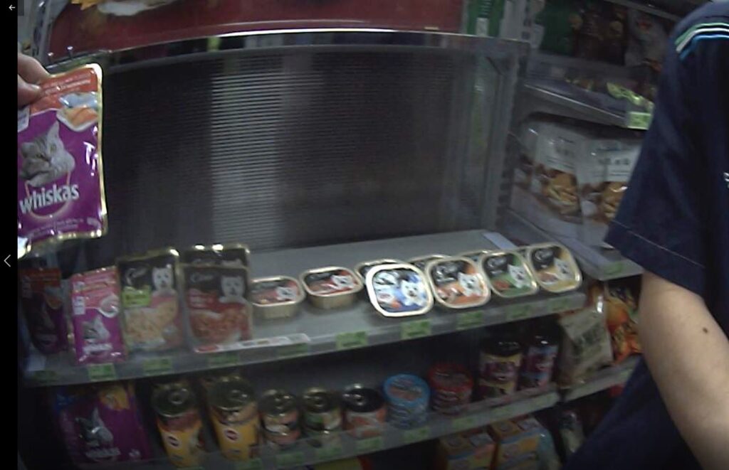 員警嘗試利用食物引誘流浪貓