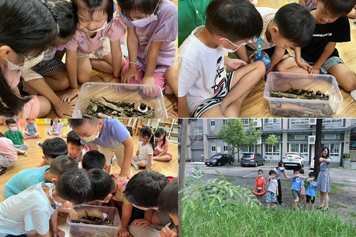 歷時一學期 幸福幼兒園學童飼育獨角仙迎羽化 孩子們上了最棒的一堂自然課