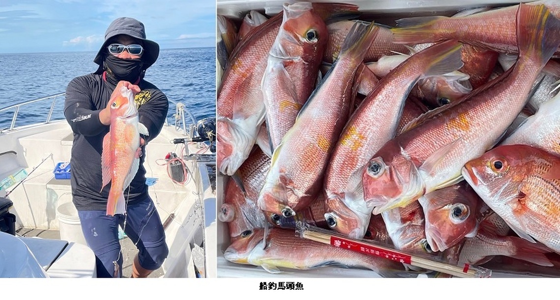 日頭炎炎船釣馬頭魚  正當時