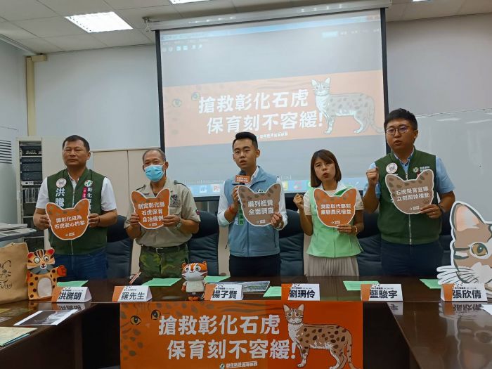 彰化發現一定數量石虎定居 保育界籲營造友善棲地搶救石虎