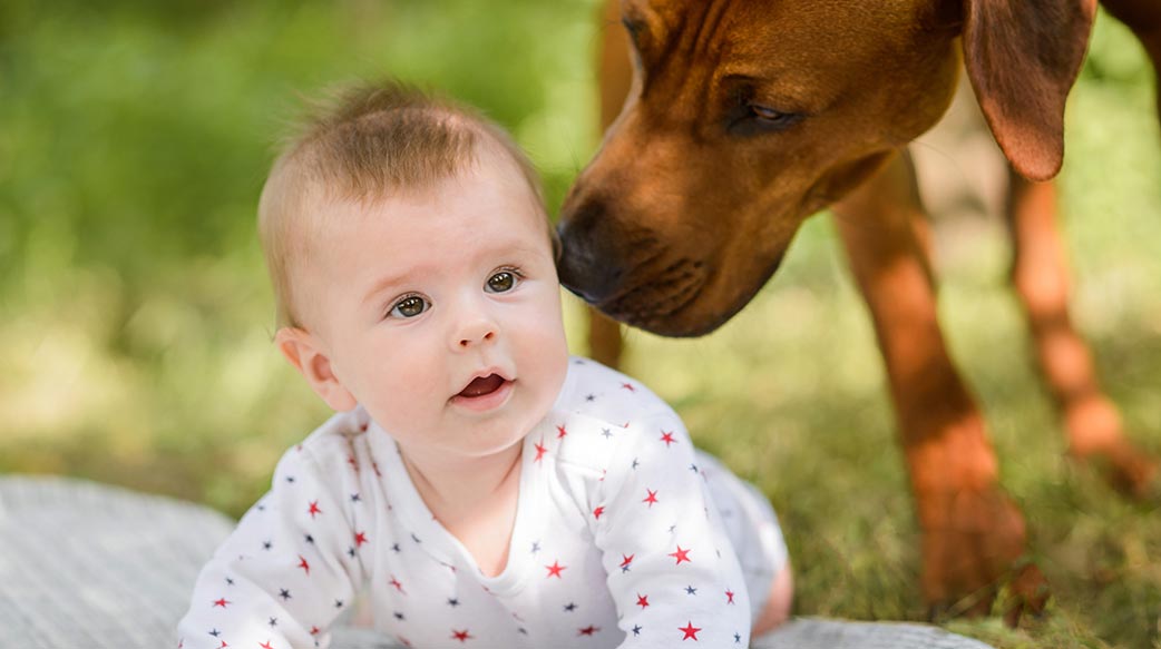 人 動物 可愛的 小 有趣 人 朋友 犬 友誼 女 狗 男孩 愛 高加索 女孩 微笑 幸福 童年 寶寶 可愛 寵物 年輕 坐 孩子 小 肖像 小狗 孩子 一起 快樂