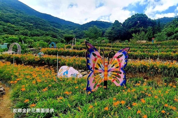 台灣好行2.6折起!「北投-竹子湖線」套票、遊程限量開賣