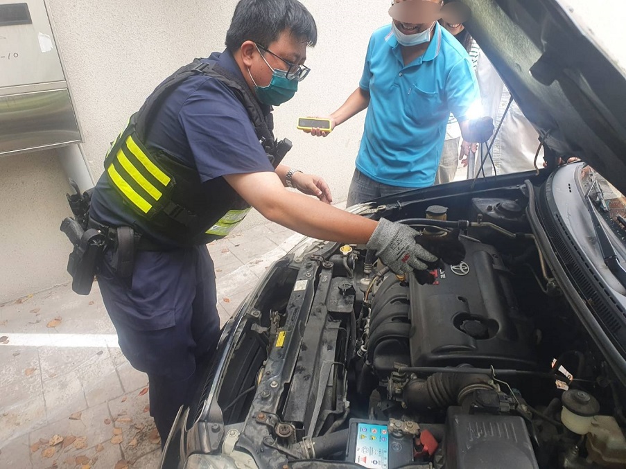▲圖說:員警借來手套,小心翼翼地將躲在車輛引擎室的小貓咪拉出 (圖/台中市政府提供)