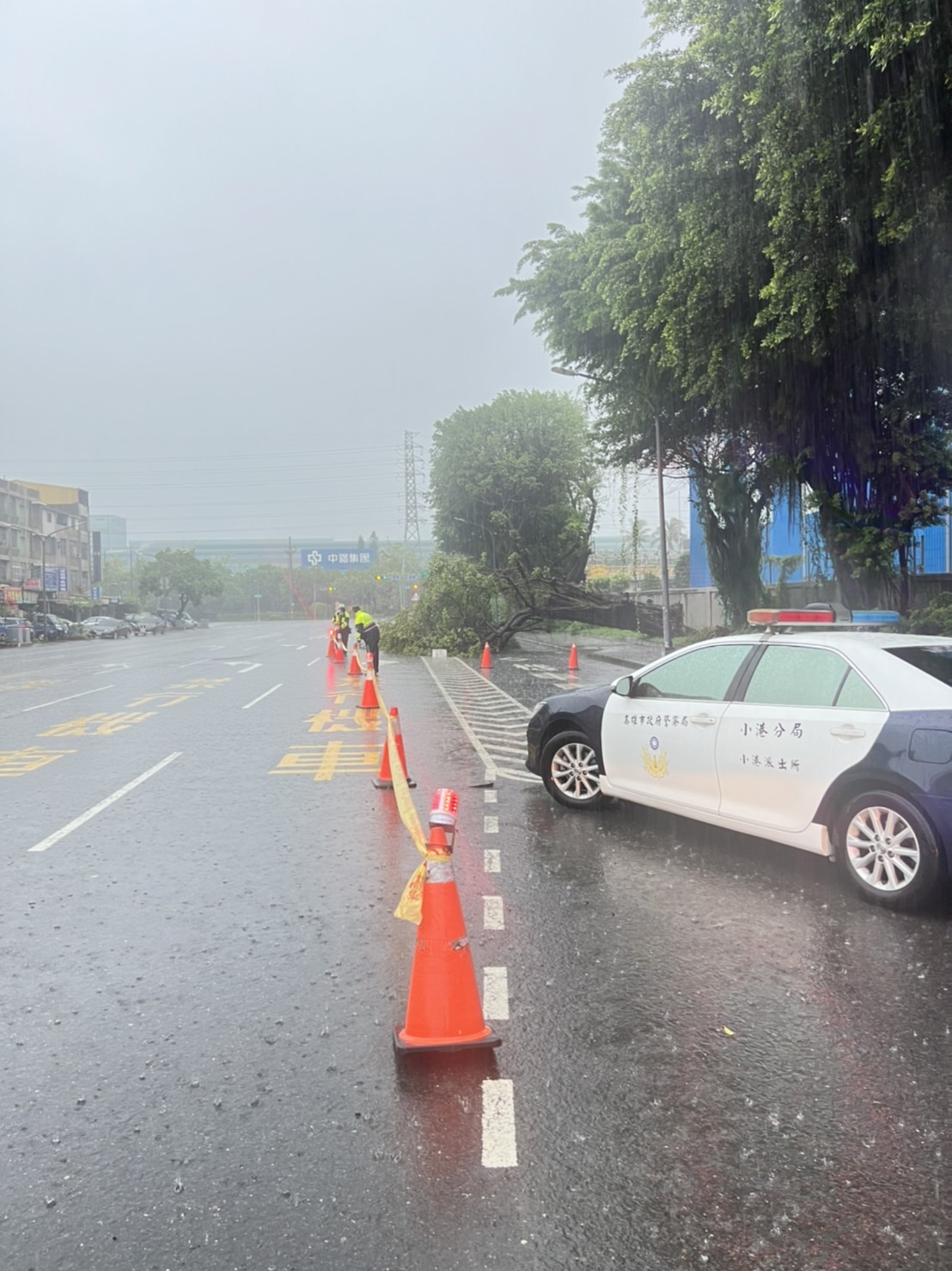 大業北路路樹倒塌 警到場協助指揮交通
