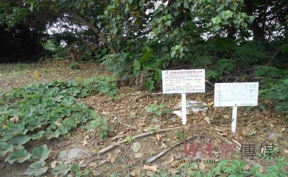 代為標售112年度第1批地籍清理未能釐清權屬土地即日起受理投標