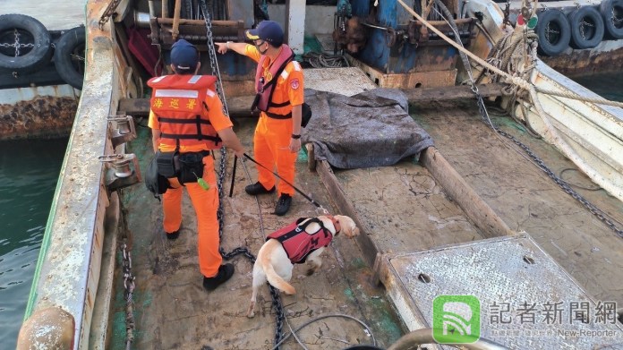 加強港口安檢杜絕非法入境 海巡端午節前夕進行威力掃蕩