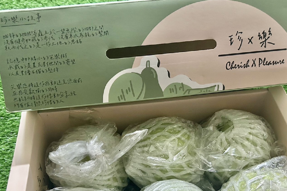 產地直送艾樂匹芭樂禮盒 端午送禮新選擇 295