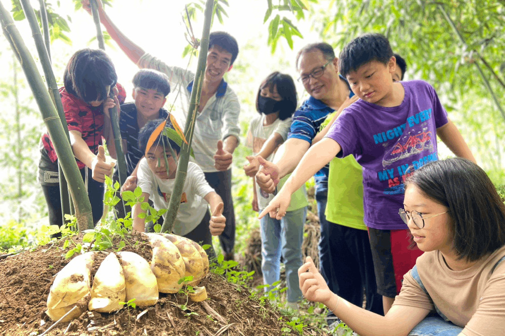 桃園國中小營養午餐免費 當令綠竹筍入菜清脆爽口消暑氣 297