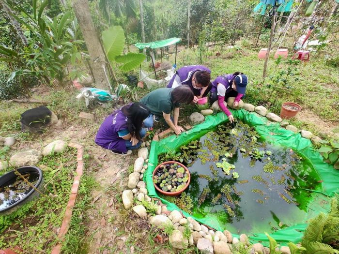 嘉縣嚴防登革熱　衛生局呼籲雨後請落實「巡倒清刷」
