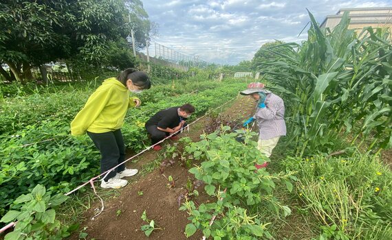 有機蔬菜自己種! 中市環保農園即日起開放報名