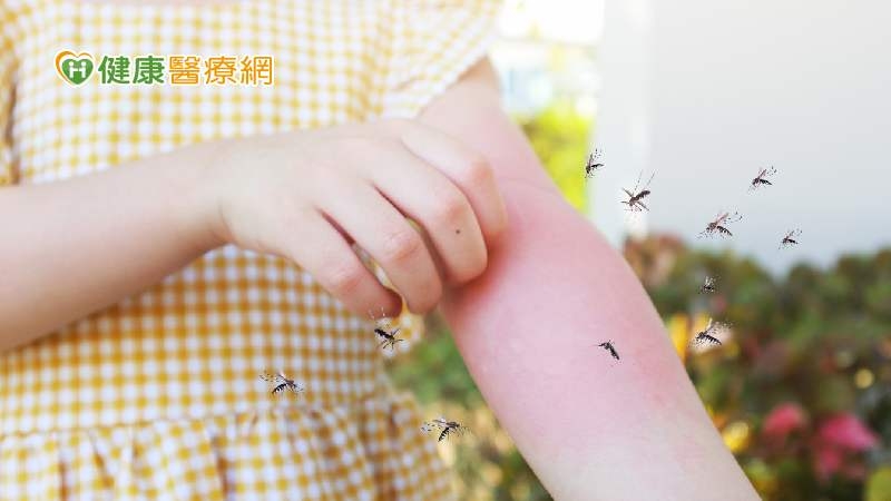 今年首例本土登革熱出現!蚊媒傳染病進入流行期 端午後注意4防蚊措施
