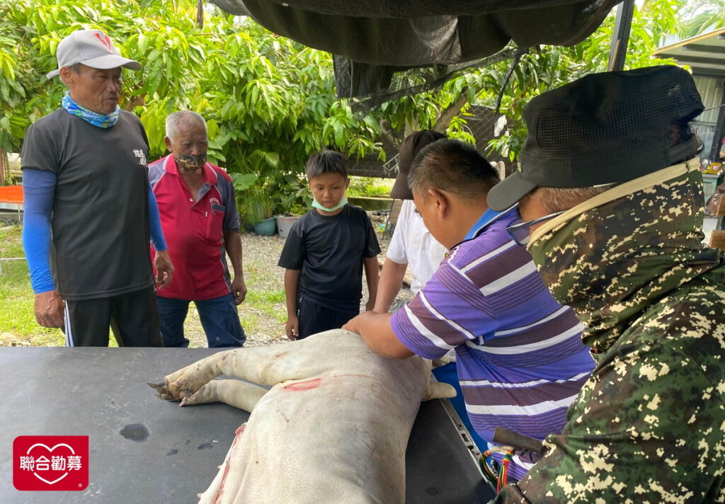 阿吉參與部落祭典殺豬過程