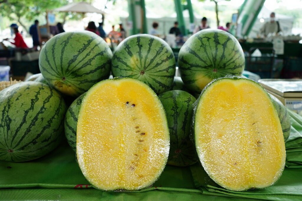 夏日將至 正是品嚐雲林鳳梨、西瓜好時機