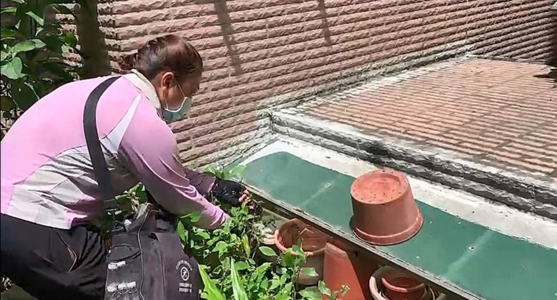 台南再增3例登革熱舉發5陽性容器