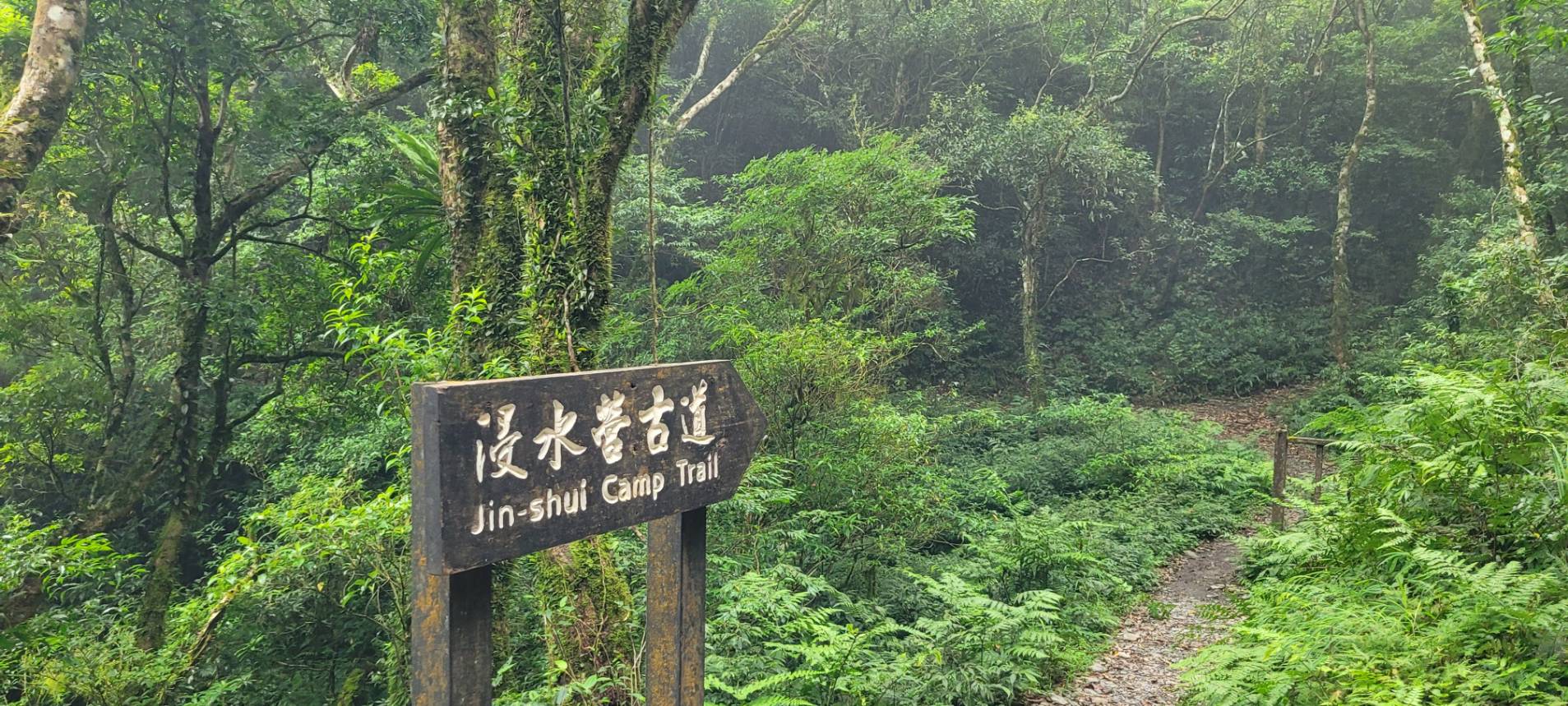 走讀浸水營 台灣阿凡達秘境