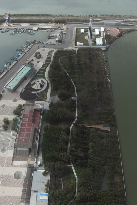 嚴選推薦／漁業署輕旅景點指南 「金鑑漁港」評鑑名單公布