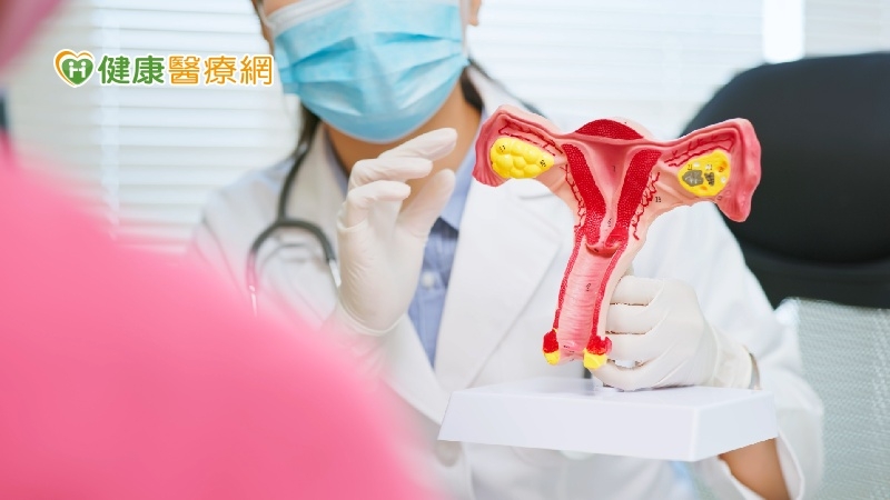 目標2030年消除子宮頸癌 立委與婦團籲HPV檢測納篩檢