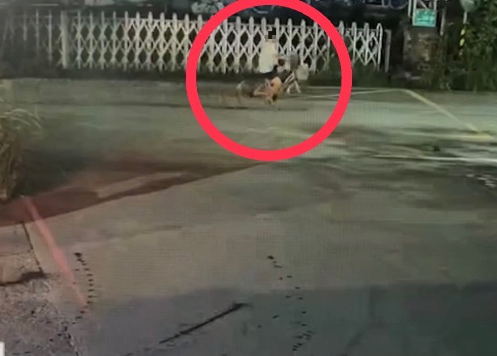 大膽 單車男涉全裸露鳥對女騎士自慰警追緝中 276 大膽 單車男涉全裸露鳥對女騎士自慰警追緝中 275