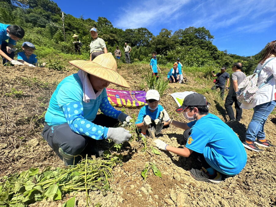 圖／學生親自種下甘藷苗，感受到食物的珍貴。（圖／新北市政府農業局提供）