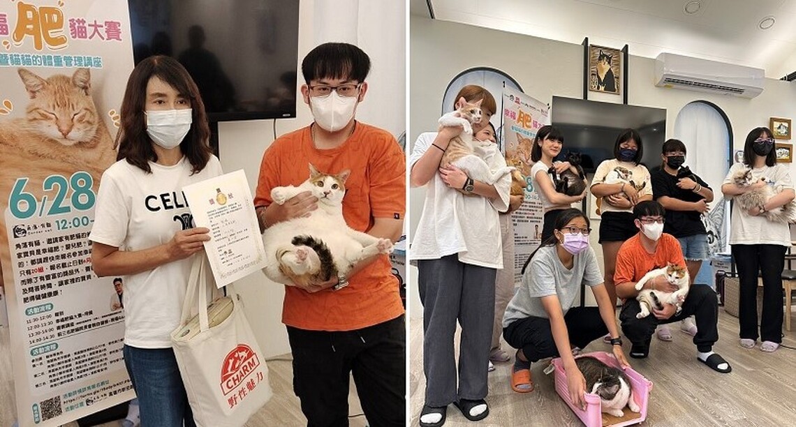 「渴望健康」肥貓大賽 高雄10.6Kg胖貓奪冠
