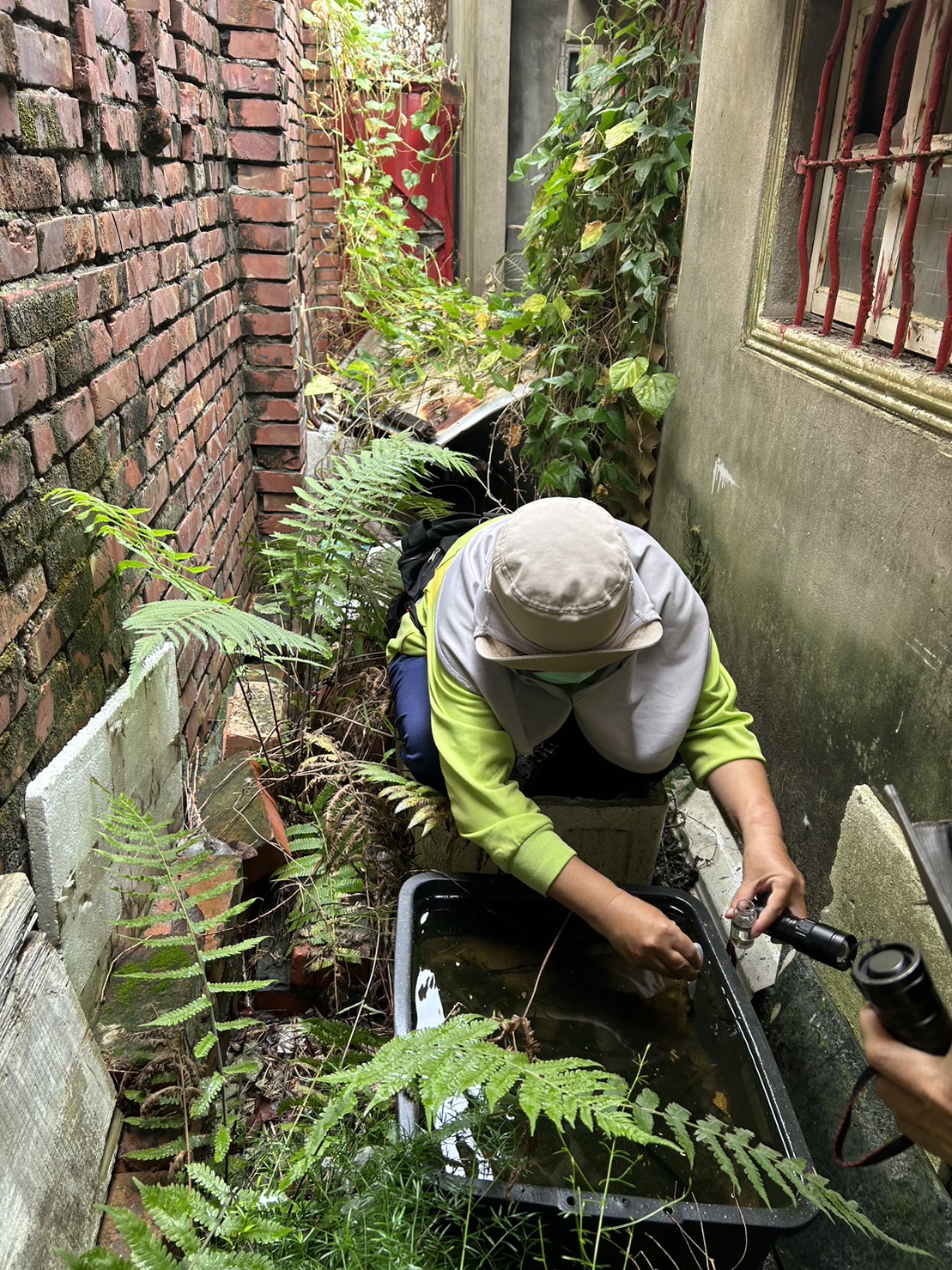 阻卻台南登革熱疫情傳播鏈 北高雄茄萣、路竹、岡山、阿蓮、湖內、田寮區同步執行環境整頓工作 構築防火牆