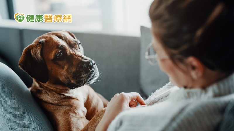 汪星人超前部屬 「用聞的」幫主人揪出乳癌!