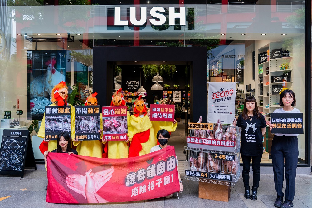 讓母雞自由　LUSH為 4300 萬產蛋母雞發聲拒絕格子籠的虐待 269