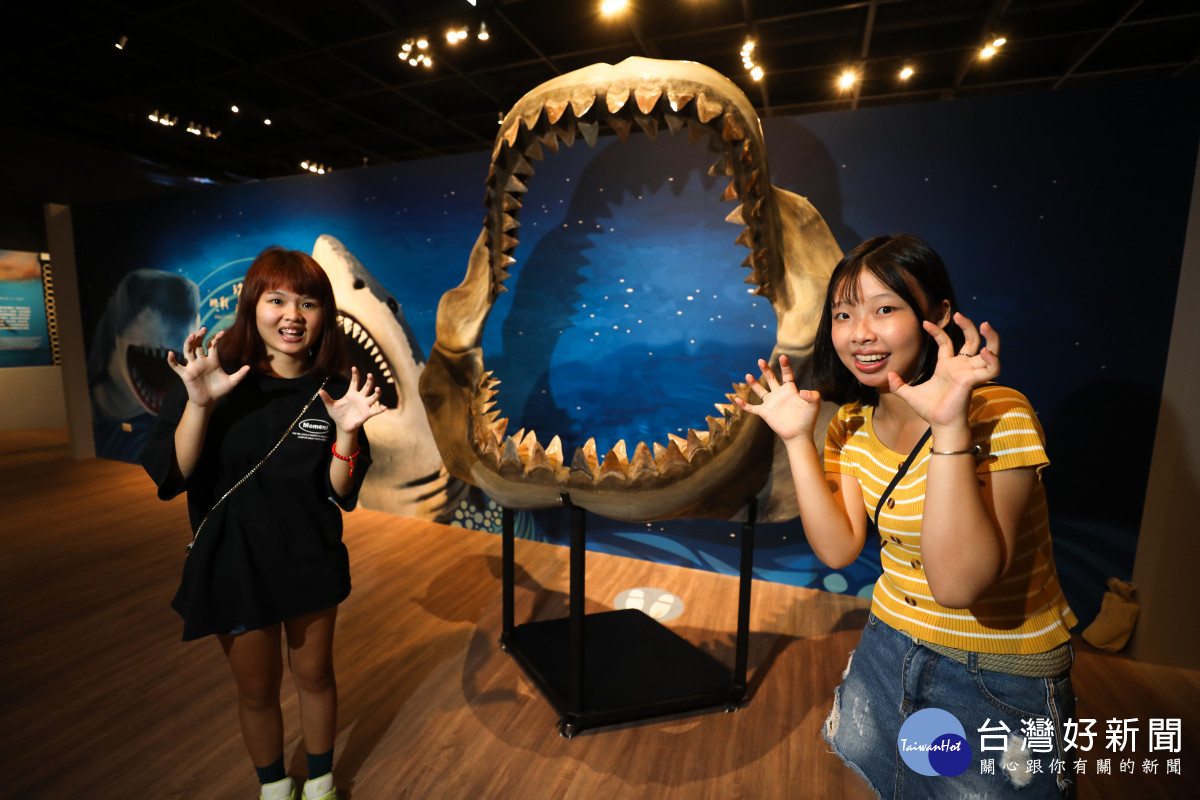 科博館《古生物展》中的「軍備競賽」展區有真實的鯊魚嘴部利牙化石,觀眾可以走進鯊魚的血盆大口拍照打卡。科博館提供
