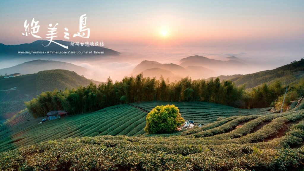 《絕美之島—縮時台灣映像誌》全沉浸體驗展-南投-鹿谷-大崙山茶園_馮業輝-拍攝。圖/柯文双融提供