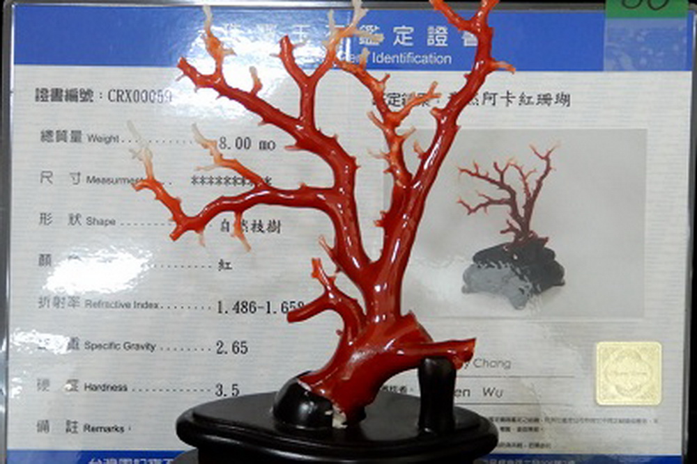 聯合拍賣會 台北分署千件珠寶首飾100元起拍 272 聯合拍賣會 台北分署千件珠寶首飾100元起拍 271