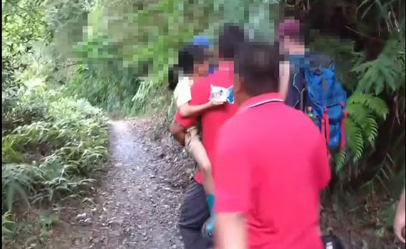 礁溪鄉月眉坑步道蜂群攻擊 4人遭螫傷送醫
