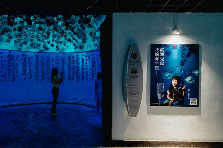 暑期限定/「歡迎光臨我的海生館!」來去免費夜宿、餵食企鵝