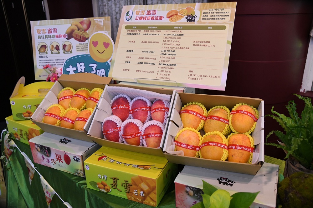 花蓮卓溪鄉LV芒果強勢回歸 世豐電力搶先下訂750箱 226 花蓮卓溪鄉LV芒果強勢回歸 世豐電力搶先下訂750箱 225